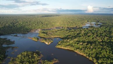 Prestação de Serviço de Conservação Ambiental no Brasil