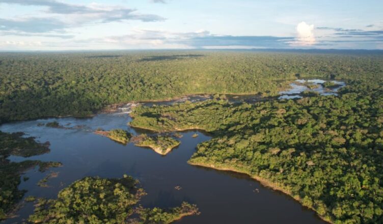 Prestação de Serviço de Conservação Ambiental no Brasil